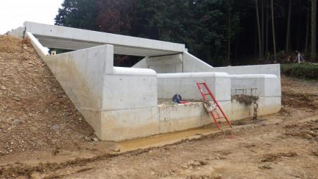 三ツ池下洪水吐