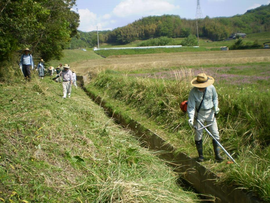 多面的機能支払交付金による水路の草刈り