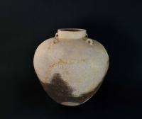 2025this_is_sueki_pic1