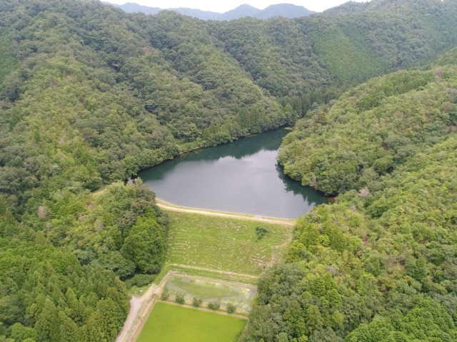 kotarihigaokuike1