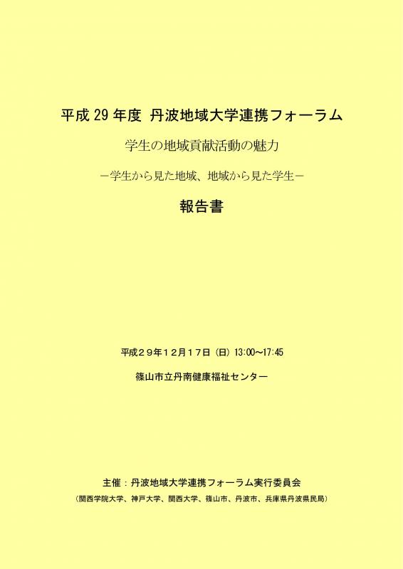 H29報告書表紙