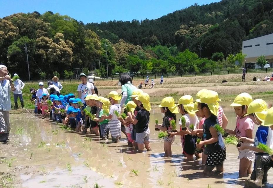 ゆめの樹野上野