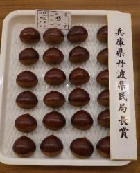 知事賞等栗2