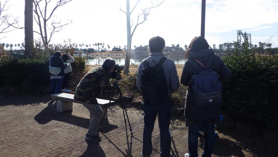 バードウォッチング1