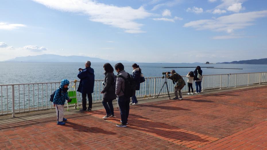 バードウォッチング2