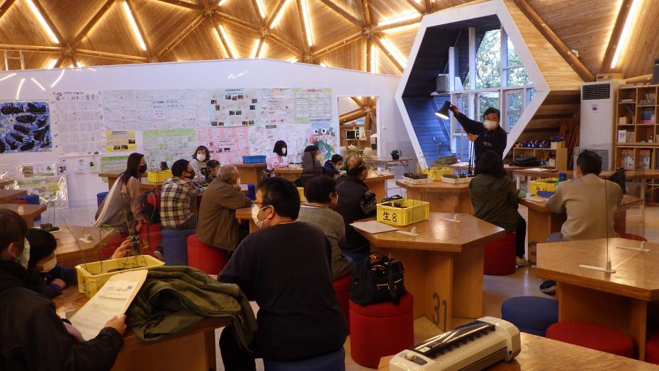 オジギソウマジック