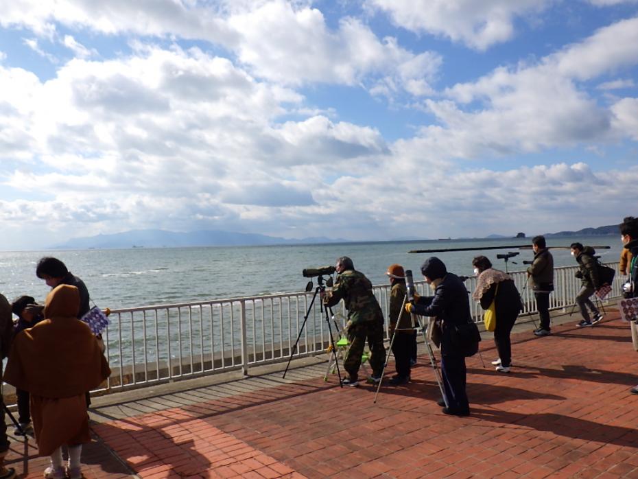 バードウォッチング01